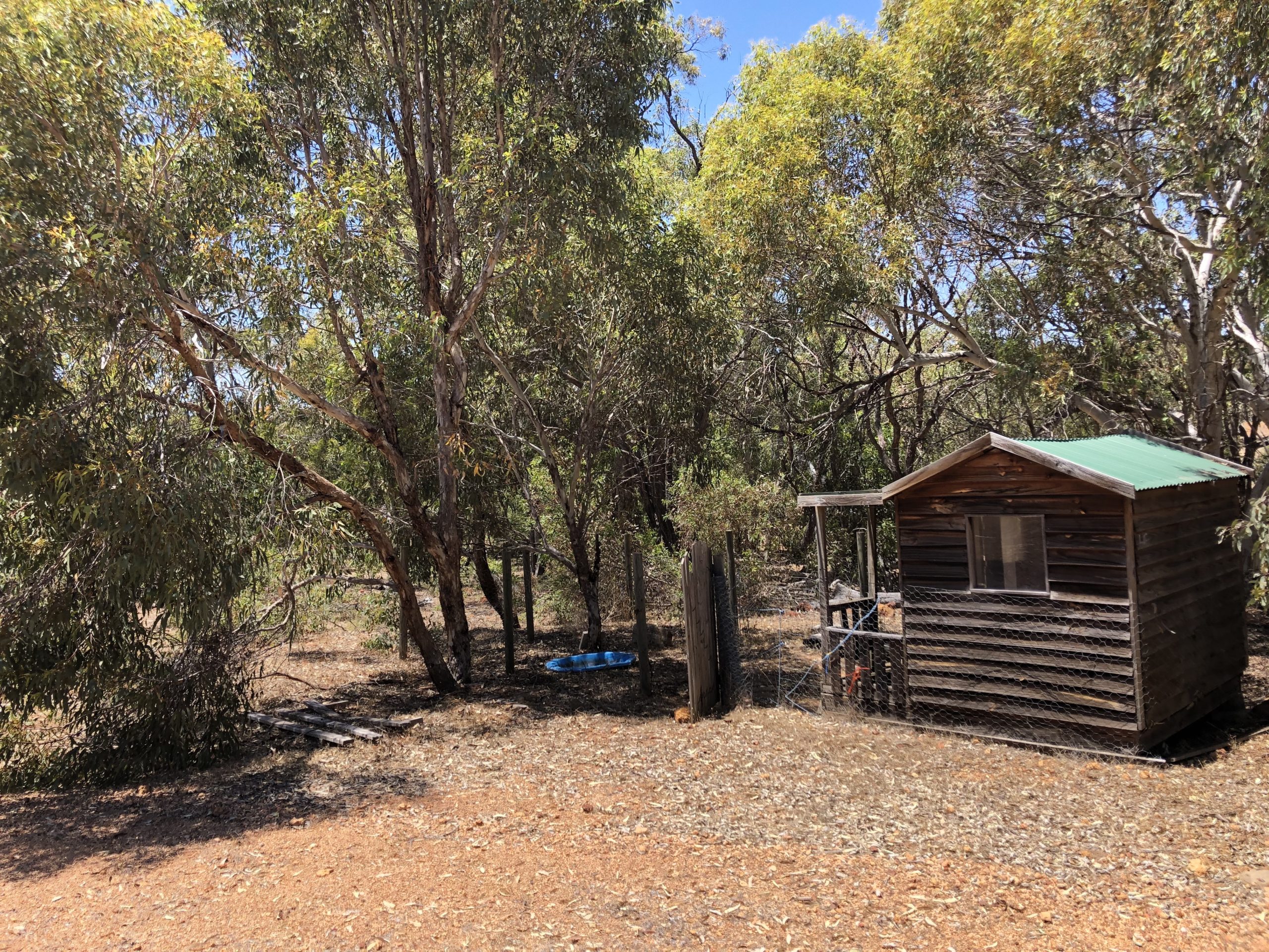 Chick Coop and Pen in Bush